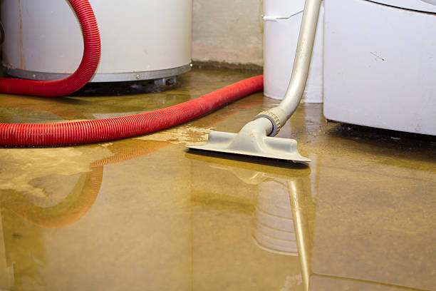 Best Professional water damage repair  in New London, WI