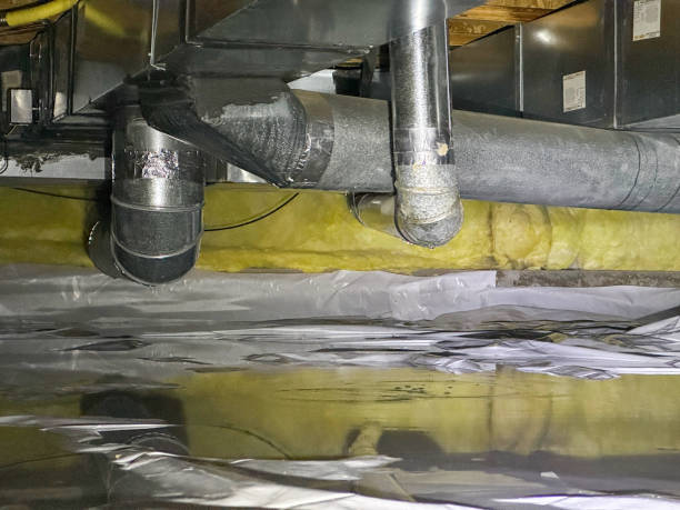 Best Sewage cleanup and water damage restoration  in New London, WI