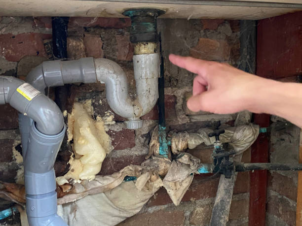 Best Flood restoration services  in New London, WI