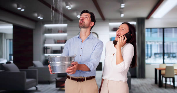 Best Flooded house restoration  in New London, WI